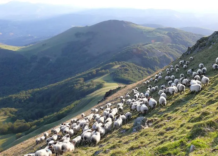 Location 1 Semaine Minimum Classe 3 Etoiles Вилла *